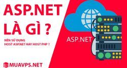 ASP NET la gi su dung Host ASP NET hay PHP